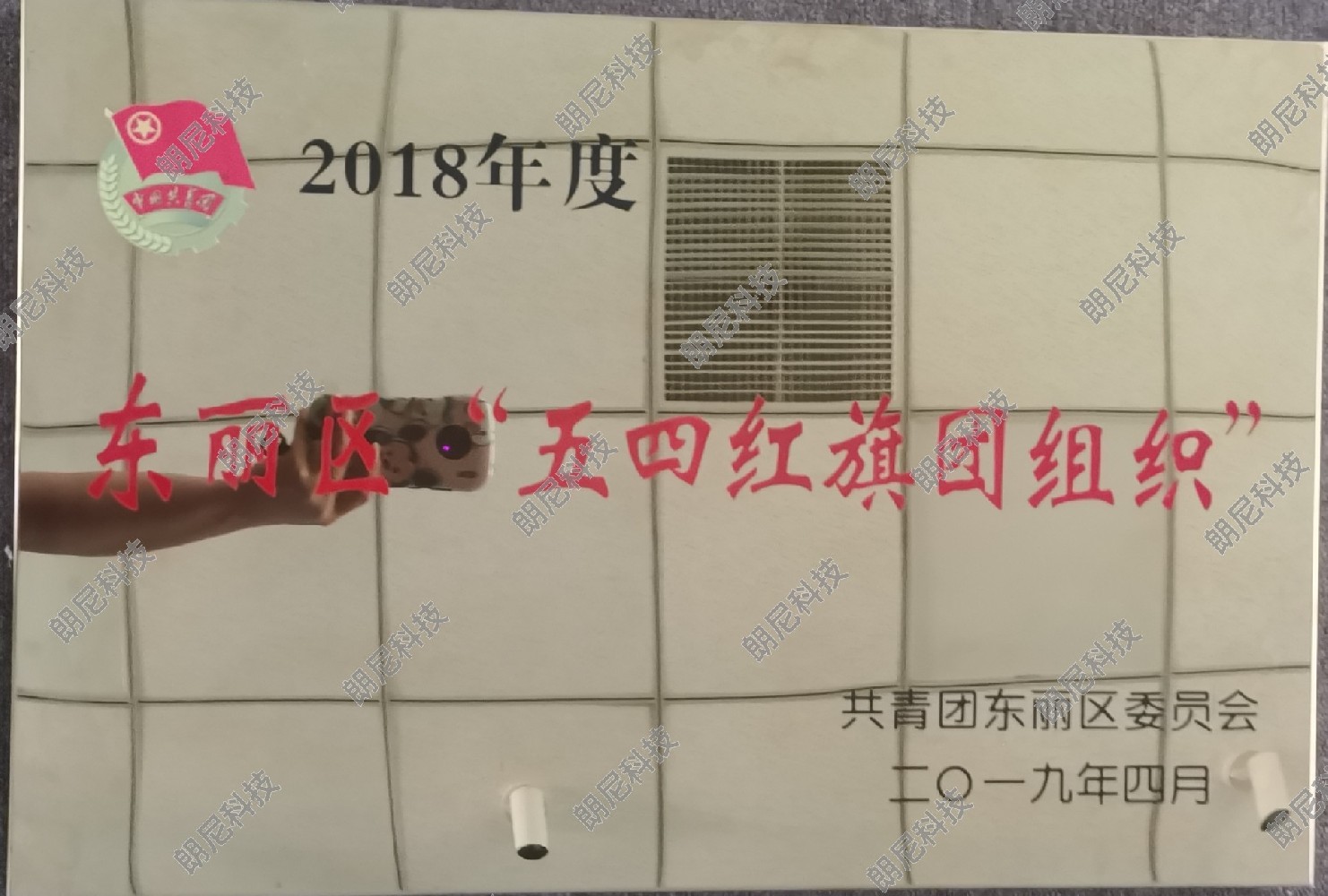 东丽区“五四红旗团组织”